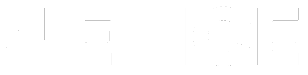 Netice Logo